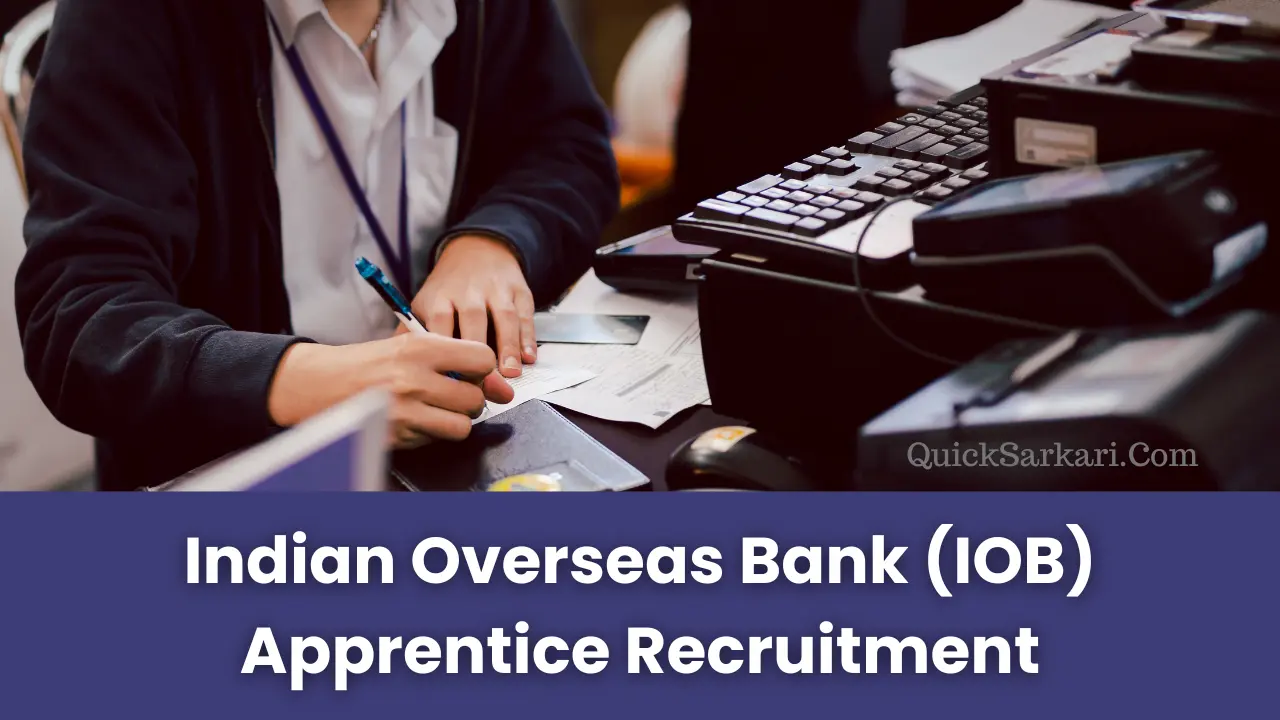 Indian Overseas Bank (IOB) Apprentice Recruitment